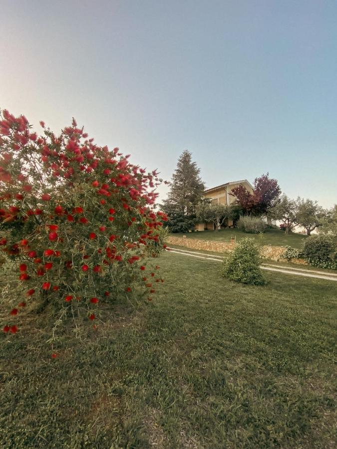 Rosciano  Bed & Breakfast Le Coccinelle Bed & Breakfast エクステリア 写真